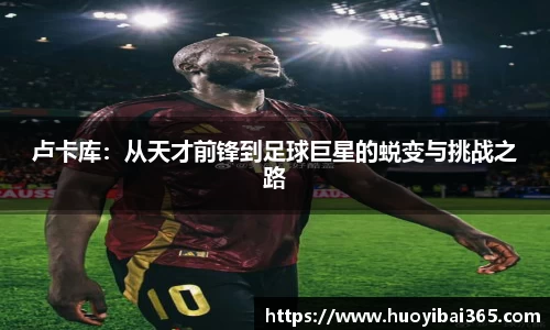 天博官网入口首页
