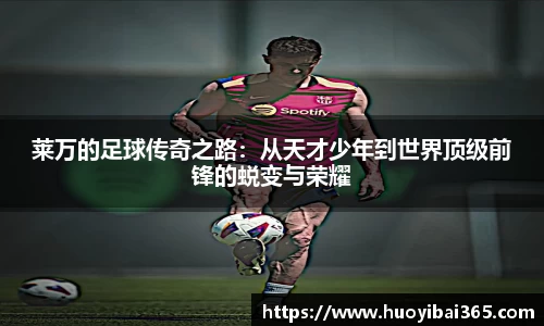天博官网入口首页